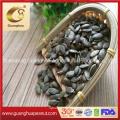 Hot Sale Gws Pumpkin Seed New Crop